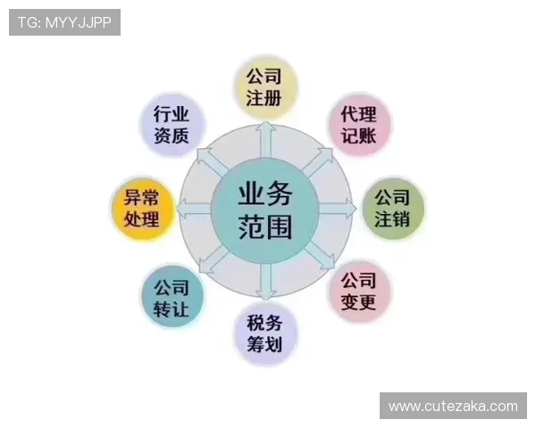 全面解析PA集团代理的优势与合作流程,助您轻松开启代理合作新篇章
