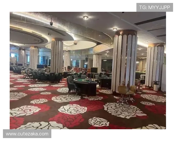 凯发包桌百家乐:打造私人定制的豪华博彩环境